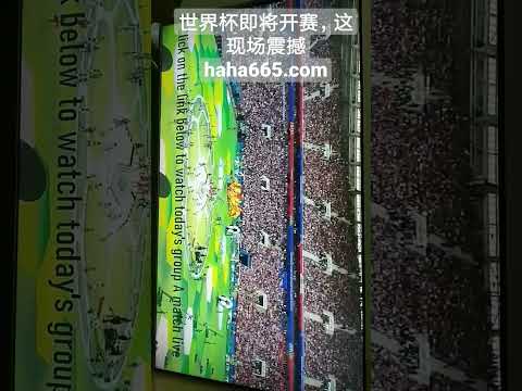 冰雪奇境畅,享无尽活力,澳门金沙娱乐,澳门金沙会,澳门金沙娱乐,金沙赌场,澳门娱乐,博彩平台,金沙官网,在线博彩