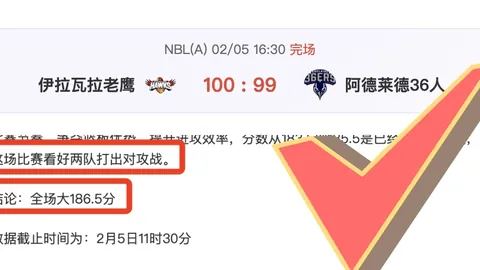 郑钦文网球女单首进16强，刷新个人最佳战绩