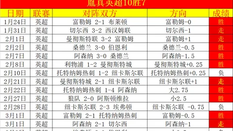 大乐透期号专家推荐：墨联春赛托卢卡华雷斯前瞻分析